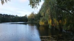 Teich Diethe 03