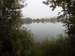 Teich Strahle 07